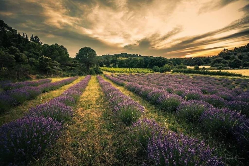 Tout Confort ! Calme, Vue Dégagée, ,parking Gratuit, Ascenseur, Wifi * Carcassonne